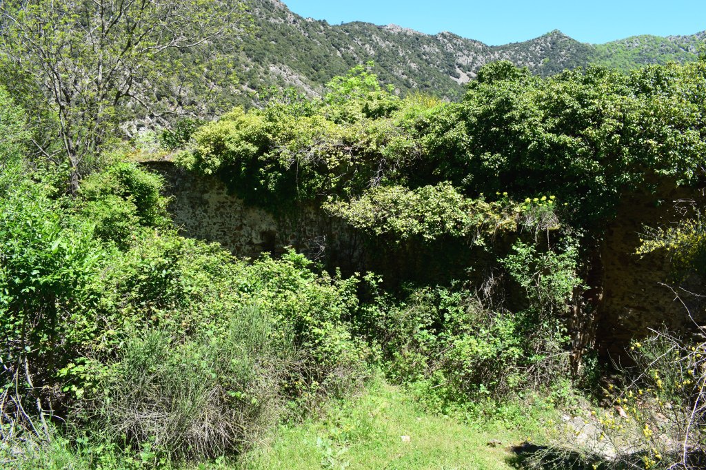 ruines du Mas del Llech